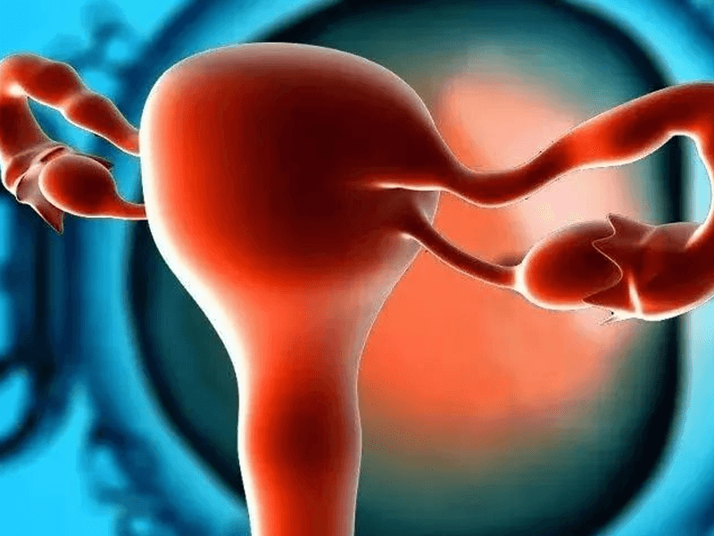 卵巢功能衰退恢复回升方法