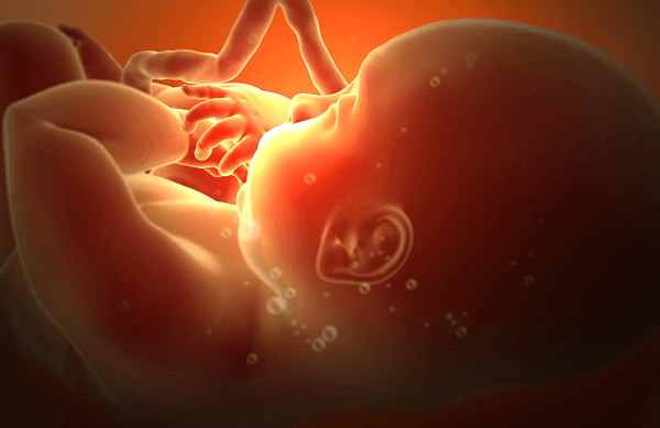 试管婴儿能解决少精者的生育问题