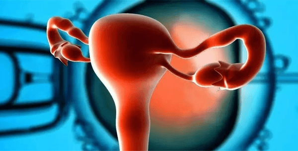 卵巢发育不良会导致闭经