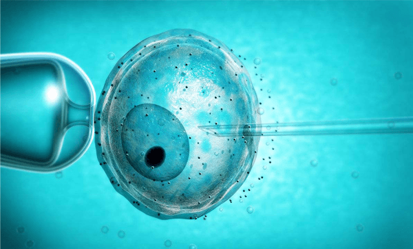 胚胎植入前筛查就是三代试管婴儿