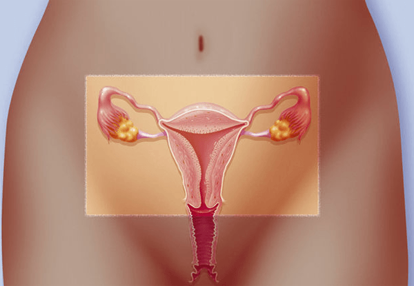 子宫内膜符合条件后才能做移植