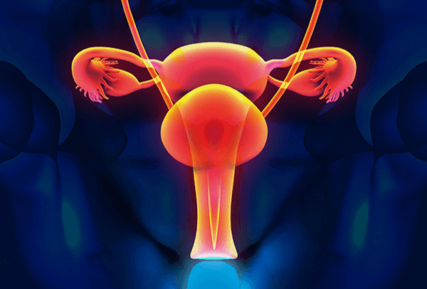 卵巢功能亢进会导致雌二醇数值增加
