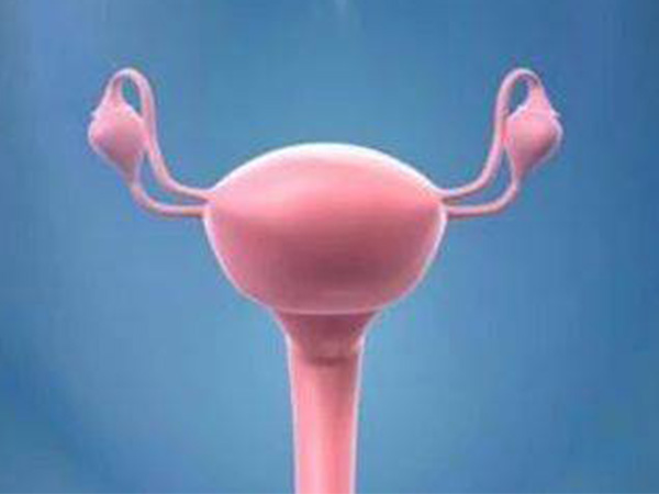 手术是治疗纵隔子宫最有效的方法