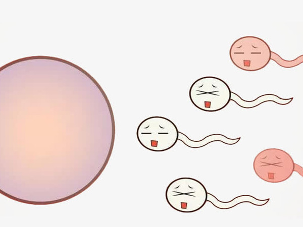 促排卵药物可以促使卵泡发育