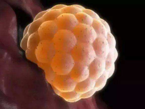3ca胚胎质量中等偏下