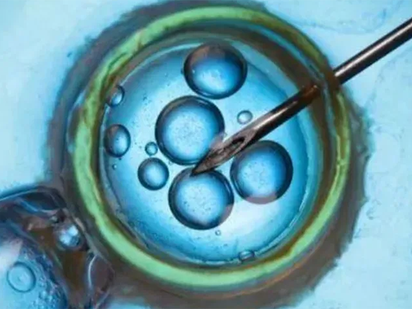 囊胚解冻成功率在百分之九十以上
