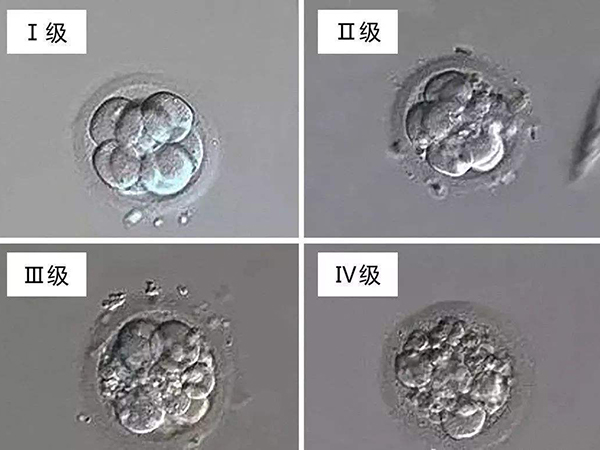 第三天的一级二级胚胎属于优胚