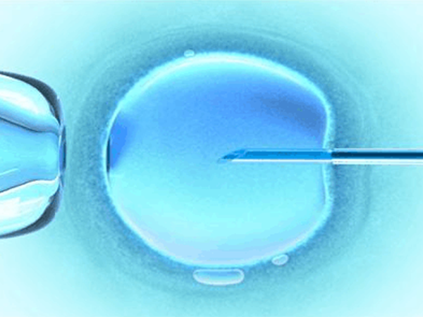 8c3胚胎碎片在百分之二十一到五十