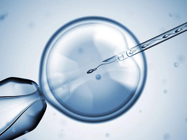 流程!为什么鲜胚不容易着床试管怀孕