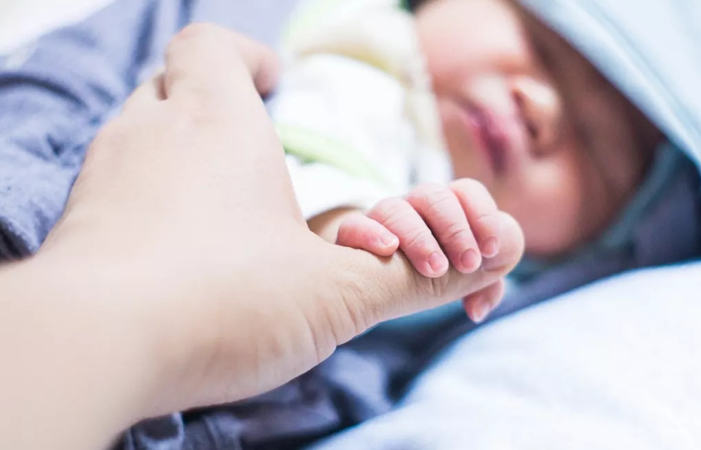 2024河北试管婴儿医院排名中前十的是哪些？